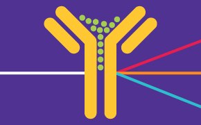 流式细胞术抗体图示。