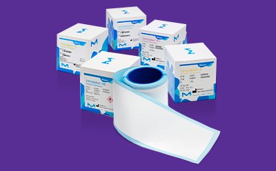 PVDF and nitrocellulose Immobilon® transfer membranes for Western blotting applications.