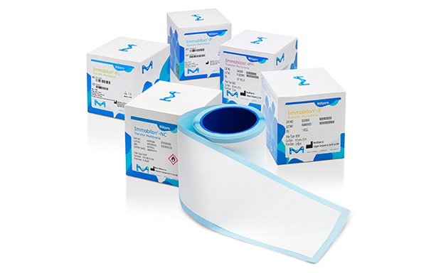 PVDF and nitrocellulose Immobilon® transfer membranes for Western blotting applications.