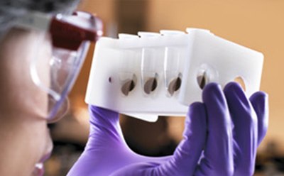 Magnetic beads for protein purification Magnetic beads in tube in rack for protein purification