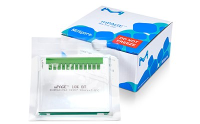 mPage® Bis Tris凝胶