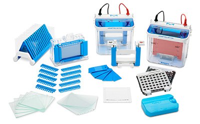 mPAGE® Electrophoresis Gel Caster