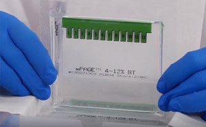 mPAGE™ bis-tris gels for protein electrophoresis