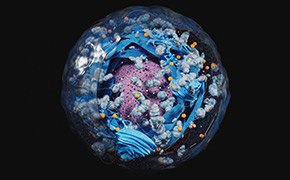 Subcellular fractionation techniques