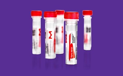 Five tubes of ZooMAb® antibodies