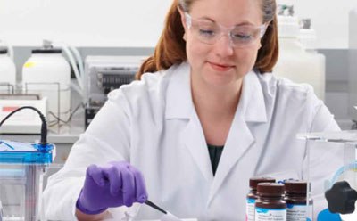 Transfer Buffers & Reagents