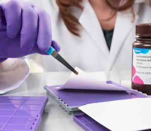 Western blotting reagents for detection