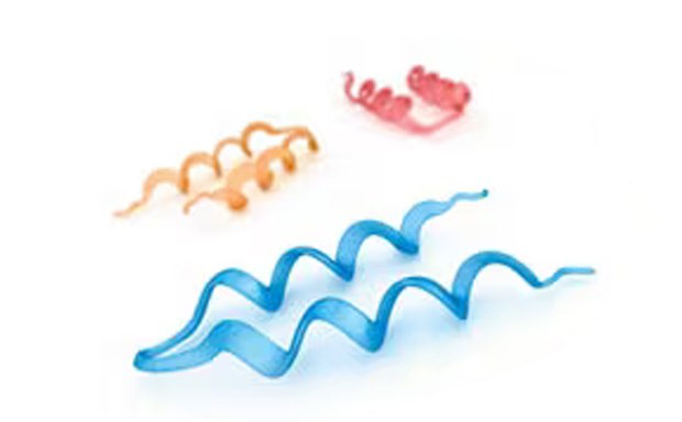 An illustration featuring three different types of helical structures against a white background.