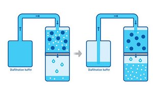 Continuous Diafiltration Continuous diafiltration for buffer exchange, desalting, and dialysis