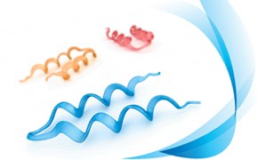 Affinity Chromatography Resins for Bioprocessing