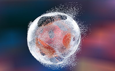 Cell lysis for protein extraction. Cell lysis for protein extraction.