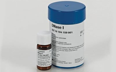 DNA酶I、脱氧核糖核酸酶、脱氧核糖核酸5'-寡核苷酸水解酶