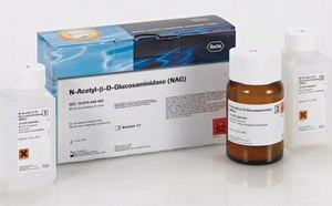 Glycosidases for your glycobiology workflow needs