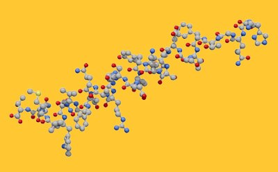用于生物标志物分析和代谢组学的激素和氨基酸参考标准品