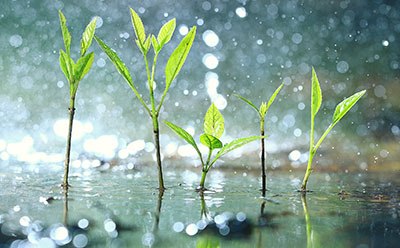 Organic pollutant standards for certified reference materials 探索我们的有机污染物分析标准品和认证参考物质标准品,以满足您的实验室要求。