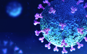 COVID-19新型冠状病毒检测、特征鉴定、疫苗和治疗制剂生产 COVID-19新型冠状病毒检测、特征鉴定、疫苗和治疗制剂生产