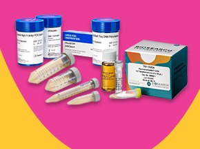 Assorted laboratory reagent kits and consumables—centrifuge tubes, vials, buffer bottles, and a boxed kit