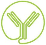 mAb product characterization