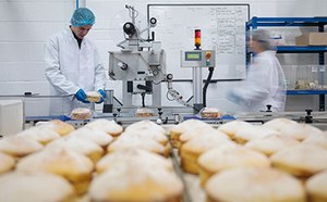 Various fruits, vegetables, nuts, beans, and berries in bowls