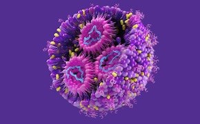 LNP-representation-tile Rendering of a lipid nanoparticle, which consists of different lipids and mRNA inside