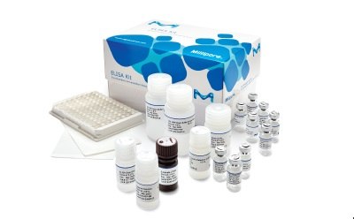 Conferma® Sandwich Elisa Conferma® Sandwich Elisa ensuring complete confidence in your research.