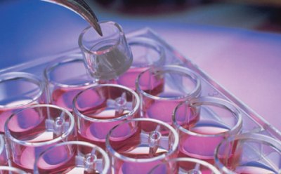 Millicell® Plates and Inserts Millicell® plates are available with a selection of membranes to promote the natural growth of adherent and suspension cell lines.