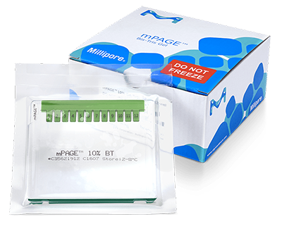 mPAGE™ Bis-Tris Precast Gels & Immobilion® NOW Western Blot membranes mPAGE™ Bis-Tris Precast Gels & Immobilion® NOW Western Blot membranes