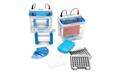mPAGE® Gel Caster And Mini Gel System The mPAGE® Gel Caster and Mini Gel System offer a leak-free solution for hand-casting up to 2 mini protein gels, high-resolution protein separation on precast or hand-cast gels, and electrophoretic transfer to blotting membranes.