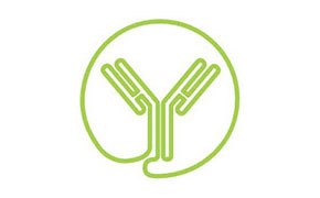 mAb Product Characterization