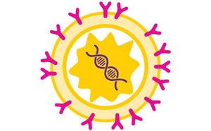 AAV Analytical Development Viral and gene therapy product characterization and analytical development