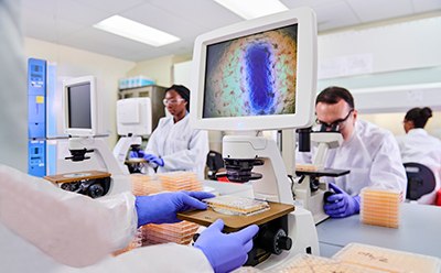 Genetic Stability Testing Genetic Stability Testing