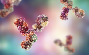 Monoclonal antibody final product testing 用于mAb产品放行的GMP生物安全检测