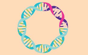 Plasmid DNA A circular arrangement of intertwined DNA strands in vibrant colors on a soft peach background.