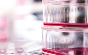 Raw material testing for biopharmaceutical manufacturing Raw Material Testing