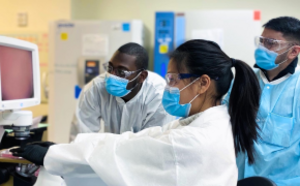 Viral clearance complete-parent Viral Clearance Testing