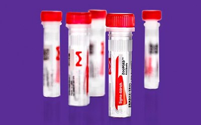 Antibody vials with red caps, representing lyophilized products for ambient shipping, reducing packaging and emissions. Antibody vials with red caps, representing lyophilized products for ambient shipping, reducing packaging and emissions.