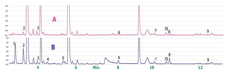Chromatograms of milk spiked with IS Chromatograms of milk spiked with IS