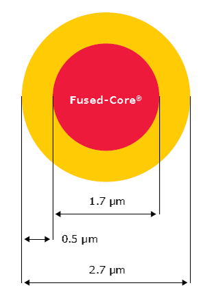 outstanding-performance 2.7 µm SPP particle with 1000 Å pores Ideal for separation of large protein