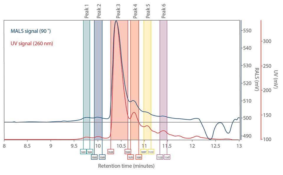 Peak analysis of the unpurified 20-mer. Peak analysis of the unpurified and purified 20-mer after MALS analysis
