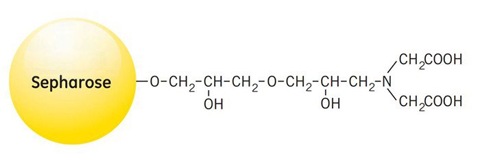 Partial structure of Chelating Sepharose