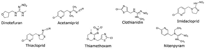 Determination of Neonicotinoids in Honey 