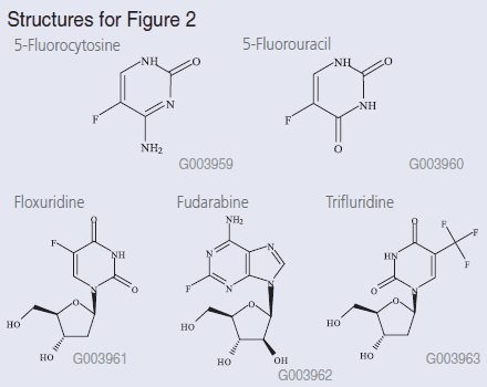 Fluorinated Pyrimidine Nucleosides