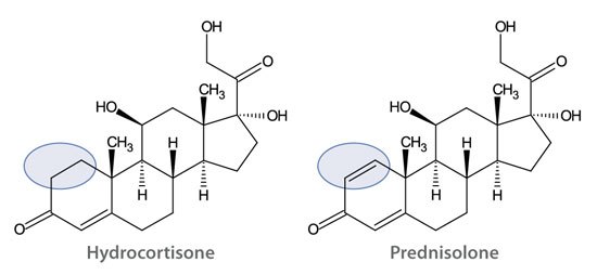 Hydrocortisone and Prednisolone