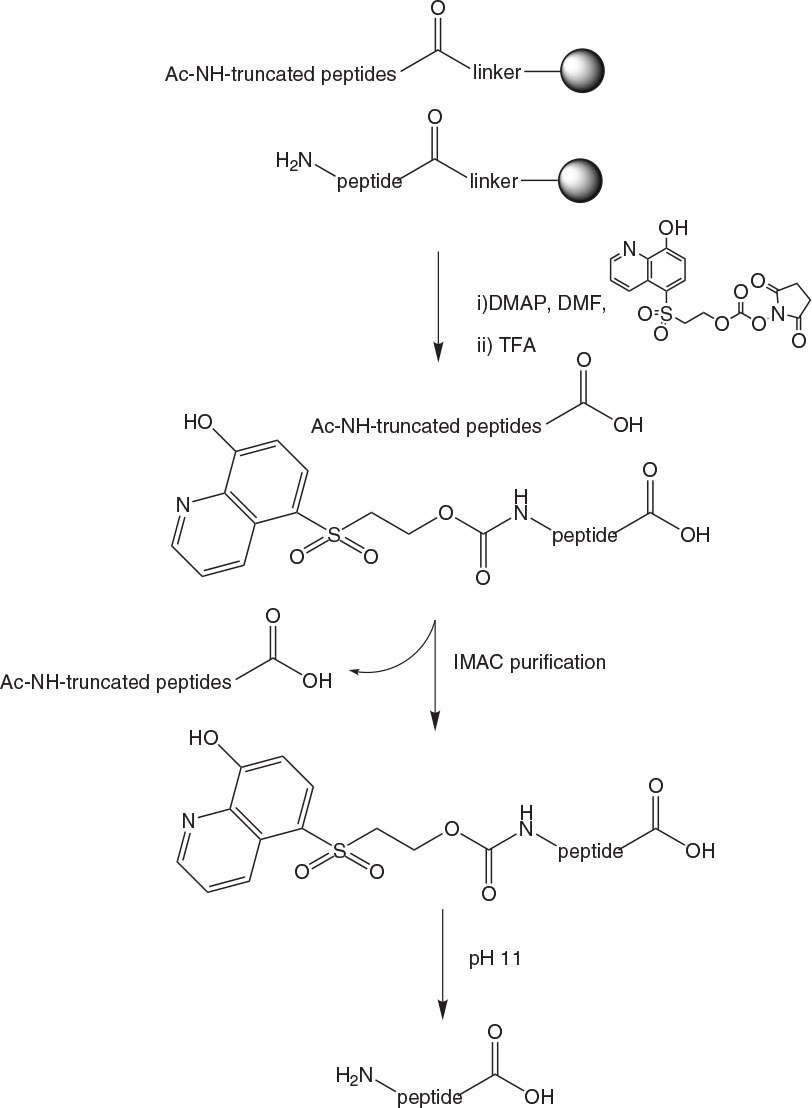 IMAC purification of peptides imac-purification-trace
