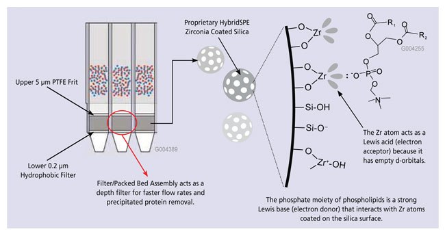 HybridSPE-PT 96-well Schematic and Phospholipid Retention Mechanism HybridSPE-PT 96-well Schematic and Phospholipid Retention Mechanism