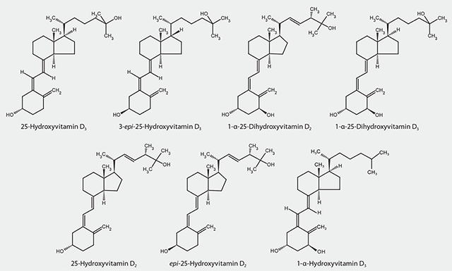 Reporter, Vol 32.1 Chemical Structures of Vitamin D Metabolites