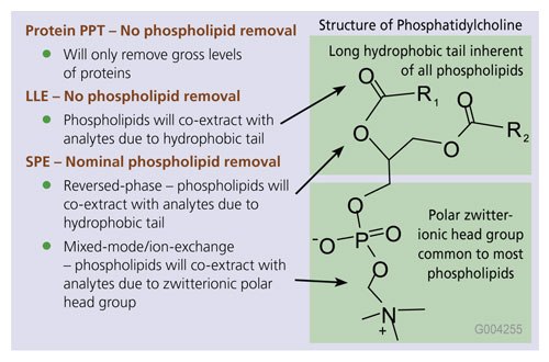 Phospholipids Co-Extract with Analytes of Interest Phospholipids Co-Extract with Analytes of Interest