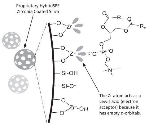 The selective extraction of phospholipids is achieved using a novel zirconia-coated particle technology The selective extraction of phospholipids is achieved using a novel zirconia-coated particle technology