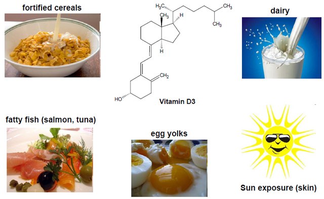 Vitamin D Sources Vitamin D Sources