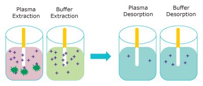 Representation of the extraction step (left) removing free analytes from plasma (pink) and buffer (blue) and the analytes releasing into the desorption solution (right). (dark green = proteins, purple = analyte) Representation of the extraction (left) of free unbound analyte from plasma (pink) and buffer (blue) onto the Supel™ BioSPME 96-Pin device and their release into the desorption solution (right).